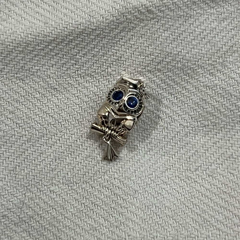 Pandora Graduation Wise Owl Charm